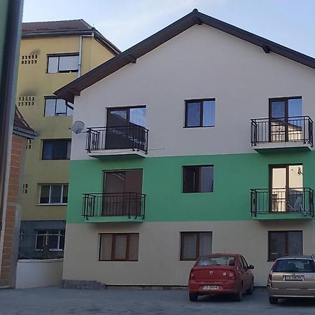 Studio Elisa Apartment Caransebes Ngoại thất bức ảnh