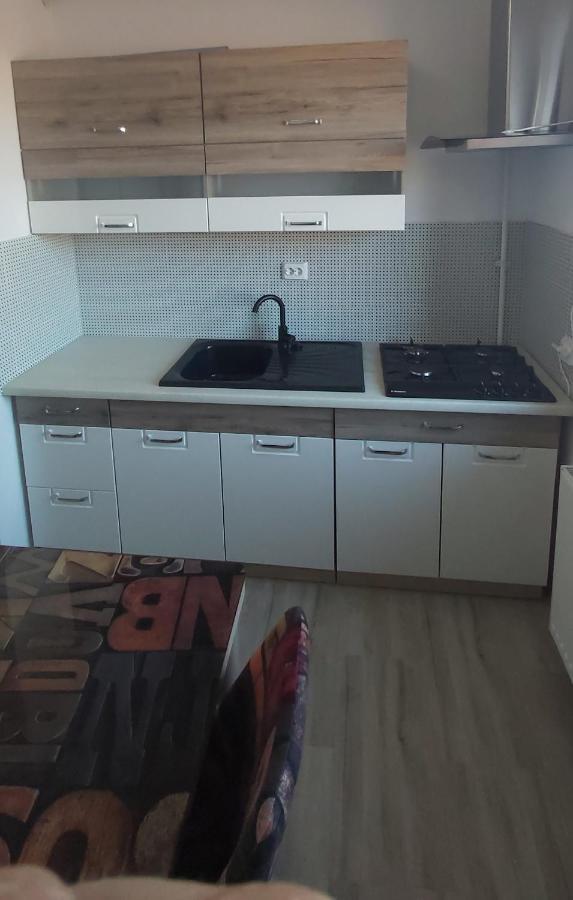 Studio Elisa Apartment Caransebes Ngoại thất bức ảnh