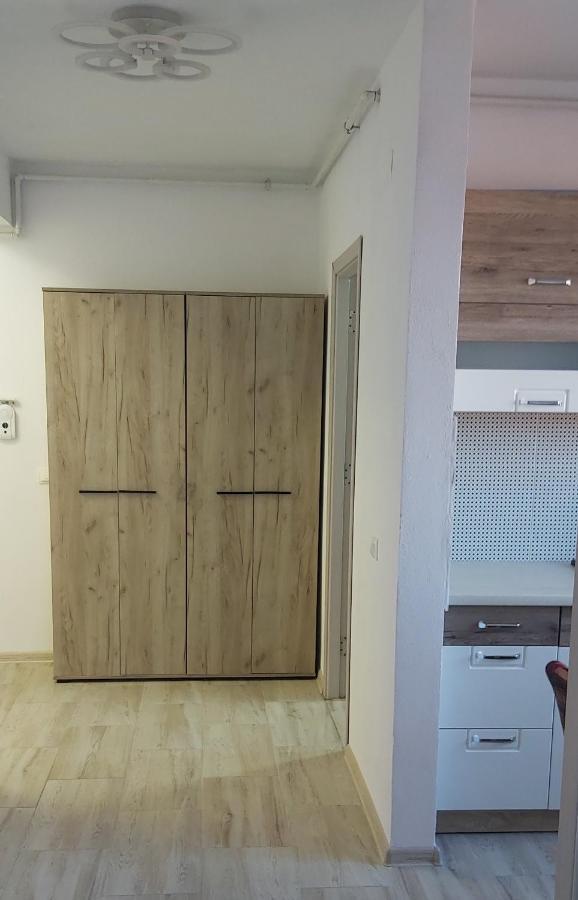 Studio Elisa Apartment Caransebes Ngoại thất bức ảnh