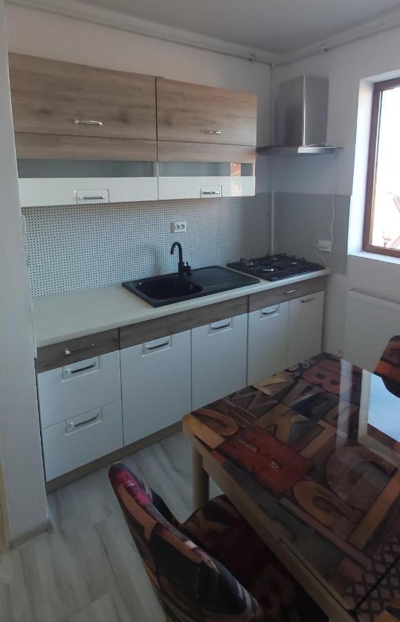 Studio Elisa Apartment Caransebes Ngoại thất bức ảnh