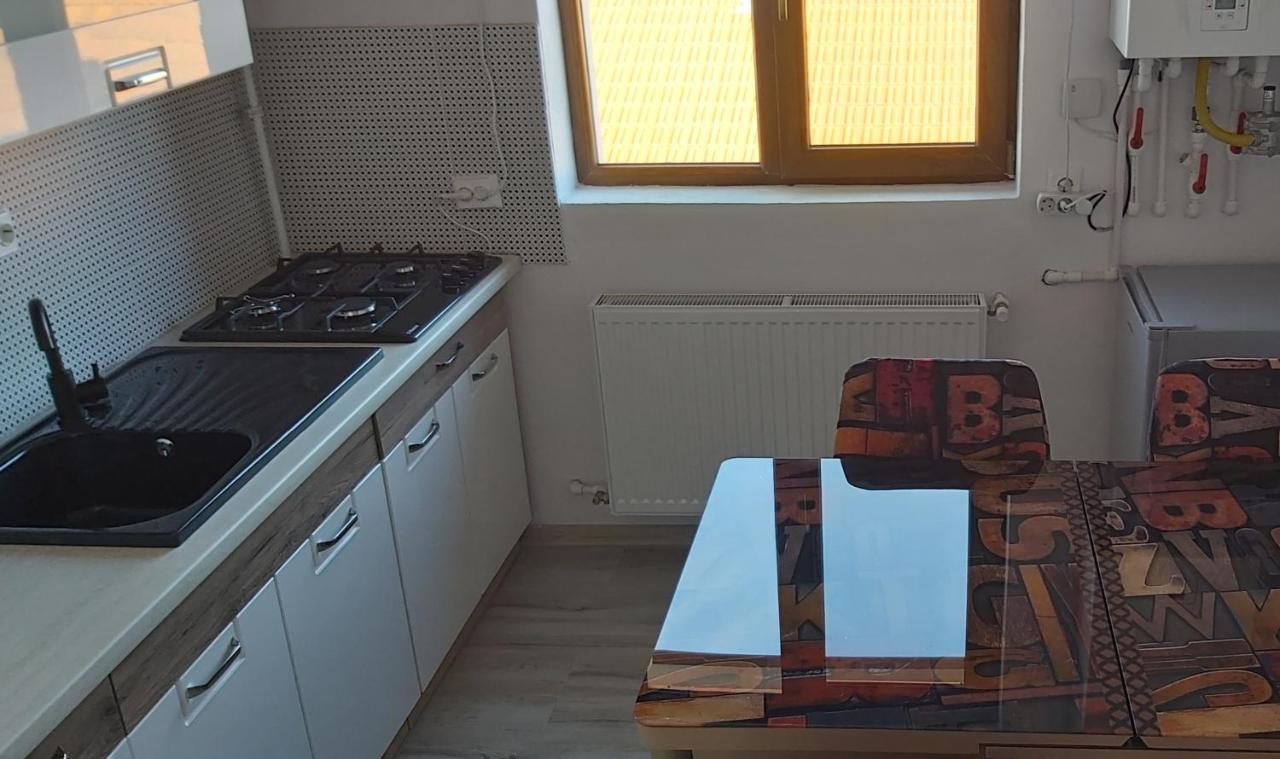 Studio Elisa Apartment Caransebes Ngoại thất bức ảnh