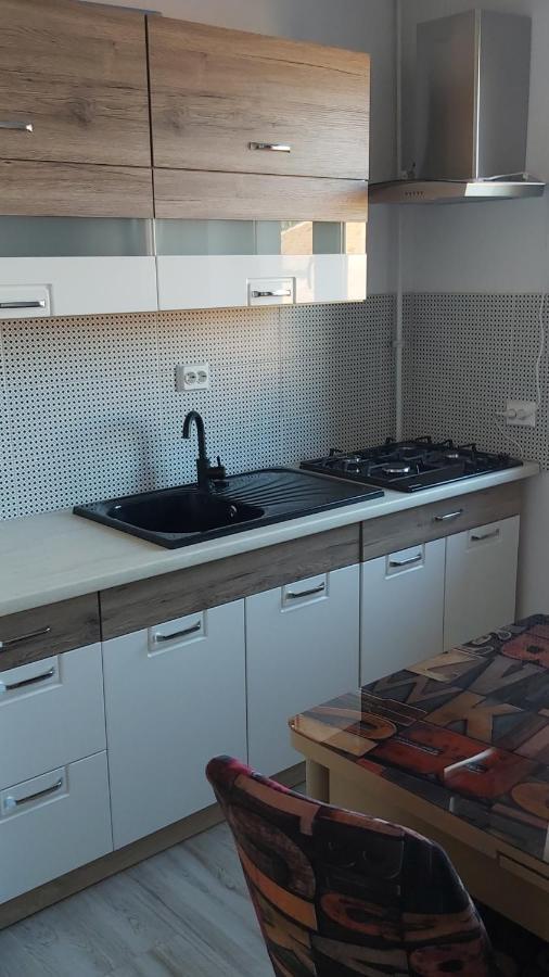 Studio Elisa Apartment Caransebes Ngoại thất bức ảnh