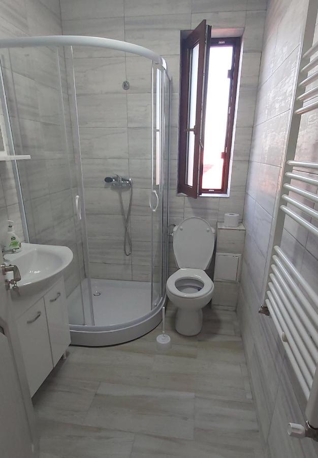 Studio Elisa Apartment Caransebes Ngoại thất bức ảnh